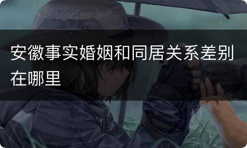 安徽事实婚姻和同居关系差别在哪里