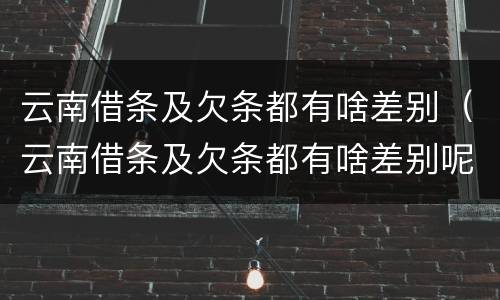 云南借条及欠条都有啥差别（云南借条及欠条都有啥差别呢）