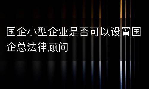 国企小型企业是否可以设置国企总法律顾问