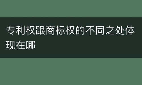 专利权跟商标权的不同之处体现在哪