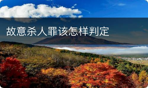 故意杀人罪该怎样判定