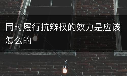同时履行抗辩权的效力是应该怎么的