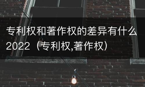 专利权和著作权的差异有什么2022（专利权,著作权）