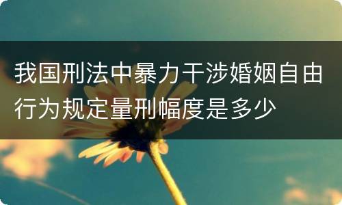 我国刑法中暴力干涉婚姻自由行为规定量刑幅度是多少