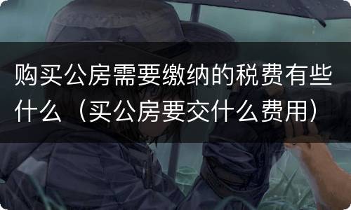 购买公房需要缴纳的税费有些什么（买公房要交什么费用）