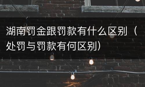 湖南罚金跟罚款有什么区别（处罚与罚款有何区别）