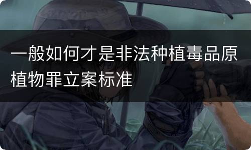 一般如何才是非法种植毒品原植物罪立案标准