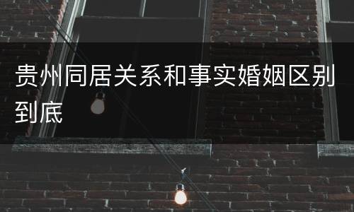贵州同居关系和事实婚姻区别到底