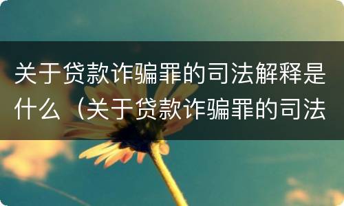 关于贷款诈骗罪的司法解释是什么（关于贷款诈骗罪的司法解释是什么意思）