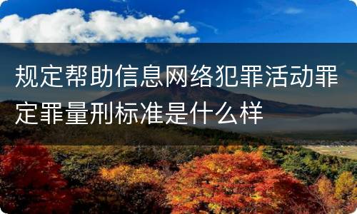规定帮助信息网络犯罪活动罪定罪量刑标准是什么样