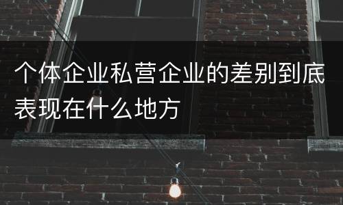 个体企业私营企业的差别到底表现在什么地方