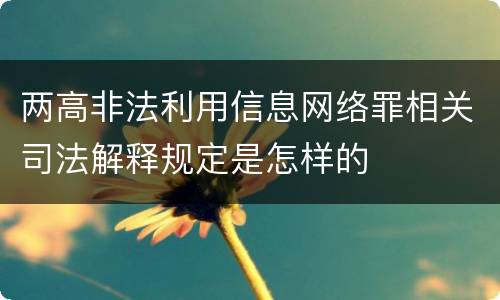 两高非法利用信息网络罪相关司法解释规定是怎样的