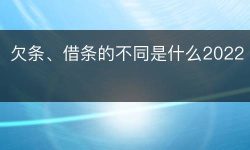 欠条、借条的不同是什么2022