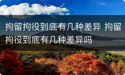 拘留拘役到底有几种差异 拘留拘役到底有几种差异吗