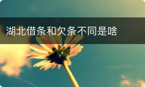 湖北借条和欠条不同是啥