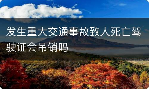 发生重大交通事故致人死亡驾驶证会吊销吗