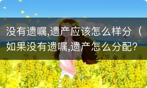 没有遗嘱,遗产应该怎么样分（如果没有遗嘱,遗产怎么分配?）