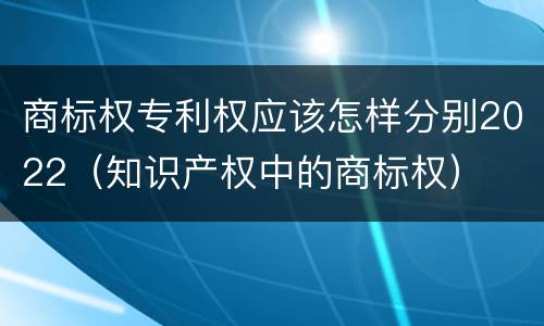 商标权专利权应该怎样分别2022（知识产权中的商标权）