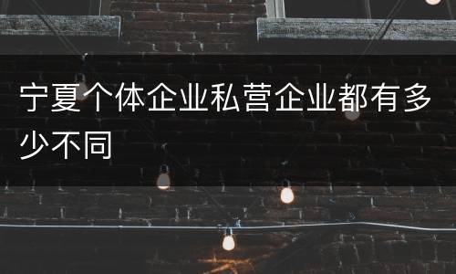 宁夏个体企业私营企业都有多少不同