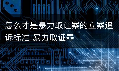 怎么才是暴力取证案的立案追诉标准 暴力取证罪