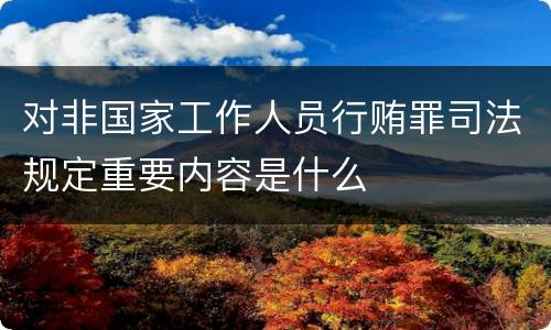 对非国家工作人员行贿罪司法规定重要内容是什么