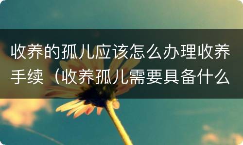 收养的孤儿应该怎么办理收养手续（收养孤儿需要具备什么条件）