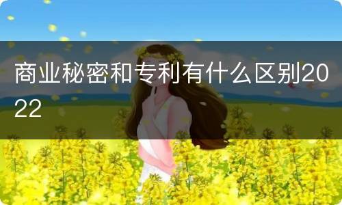 商业秘密和专利有什么区别2022