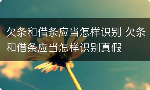 欠条和借条应当怎样识别 欠条和借条应当怎样识别真假