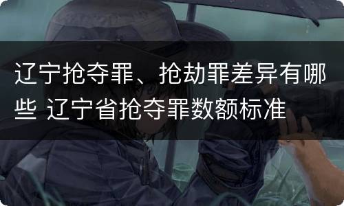 辽宁抢夺罪、抢劫罪差异有哪些 辽宁省抢夺罪数额标准