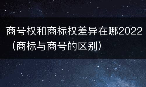 商号权和商标权差异在哪2022（商标与商号的区别）