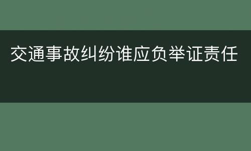 交通事故纠纷谁应负举证责任