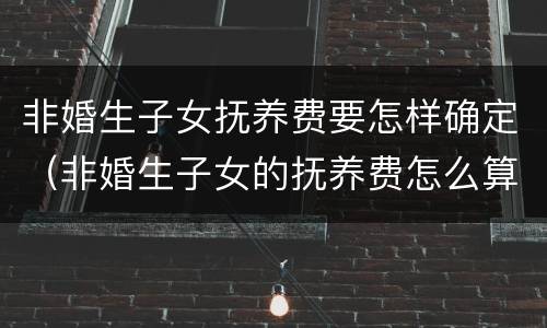 非婚生子女抚养费要怎样确定（非婚生子女的抚养费怎么算）