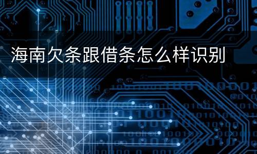 海南欠条跟借条怎么样识别
