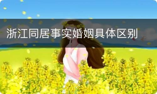 浙江同居事实婚姻具体区别