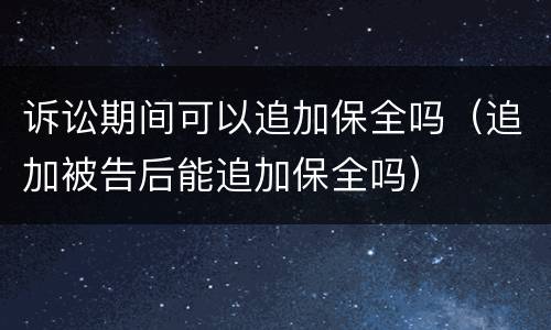 诉讼期间可以追加保全吗（追加被告后能追加保全吗）
