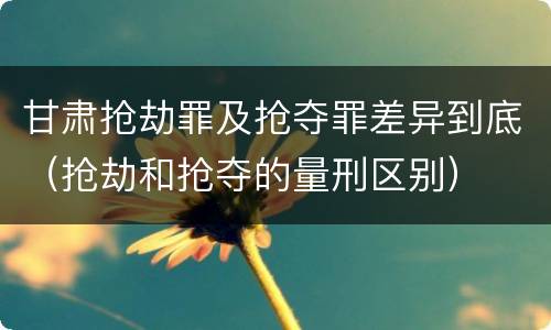 甘肃抢劫罪及抢夺罪差异到底（抢劫和抢夺的量刑区别）