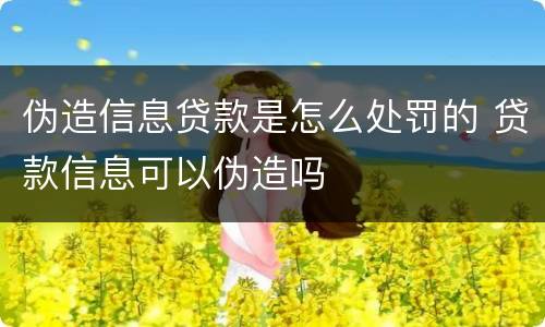 伪造信息贷款是怎么处罚的 贷款信息可以伪造吗