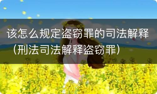 该怎么规定盗窃罪的司法解释（刑法司法解释盗窃罪）