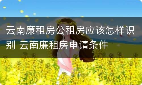 云南廉租房公租房应该怎样识别 云南廉租房申请条件