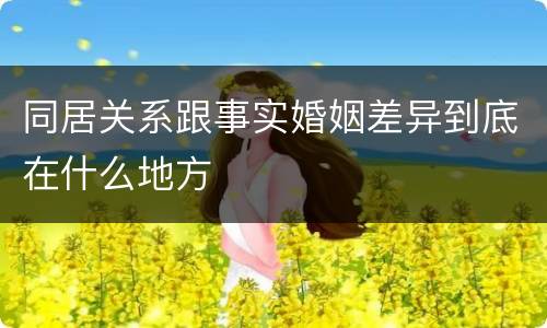 同居关系跟事实婚姻差异到底在什么地方