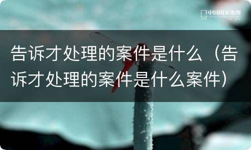 告诉才处理的案件是什么（告诉才处理的案件是什么案件）