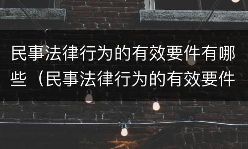 民事法律行为的有效要件有哪些（民事法律行为的有效要件有哪些）