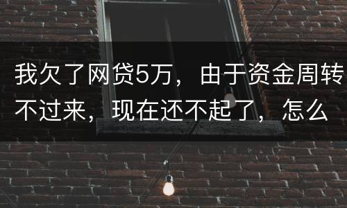 我欠了网贷5万，由于资金周转不过来，现在还不起了，怎么办