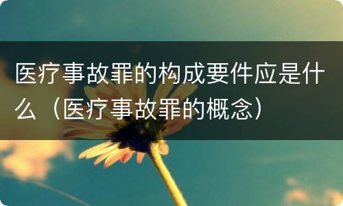 医疗事故罪的构成要件应是什么（医疗事故罪的概念）