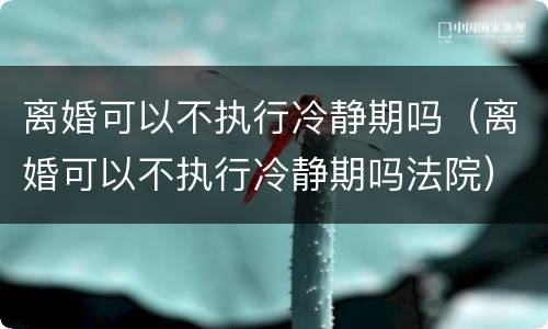 离婚可以不执行冷静期吗（离婚可以不执行冷静期吗法院）