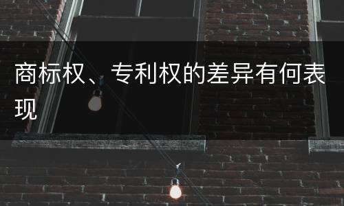 商标权、专利权的差异有何表现