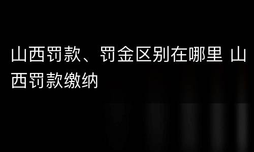 山西罚款、罚金区别在哪里 山西罚款缴纳
