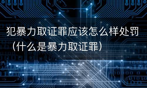 犯暴力取证罪应该怎么样处罚（什么是暴力取证罪）