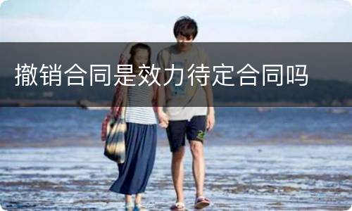 撤销合同是效力待定合同吗