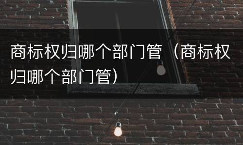 商标权归哪个部门管（商标权归哪个部门管）